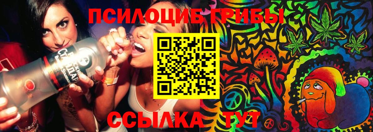 Галлюциногенные грибы Magic Shrooms Тверь